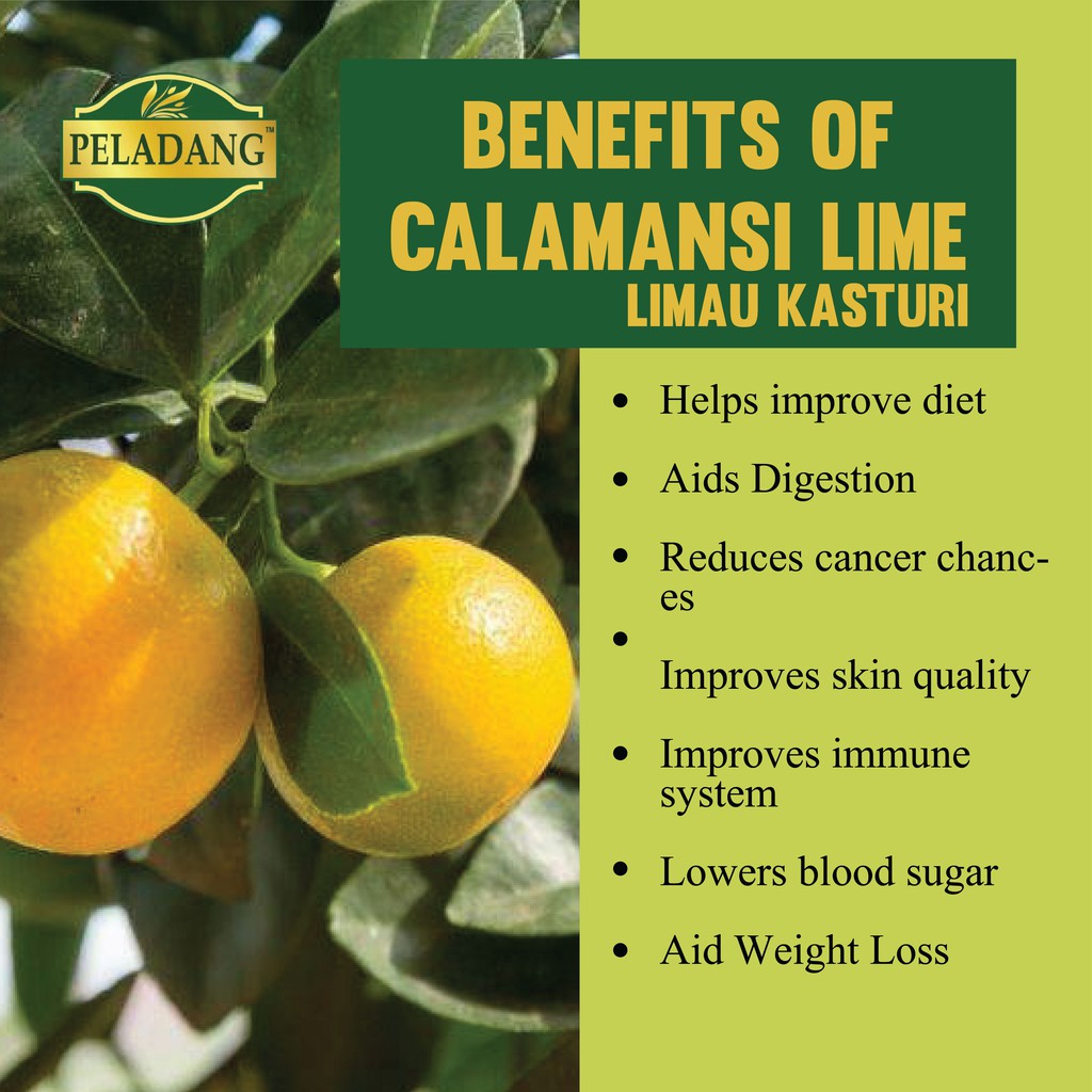 PELADANG Calamansi Fresh Juice - Image 3